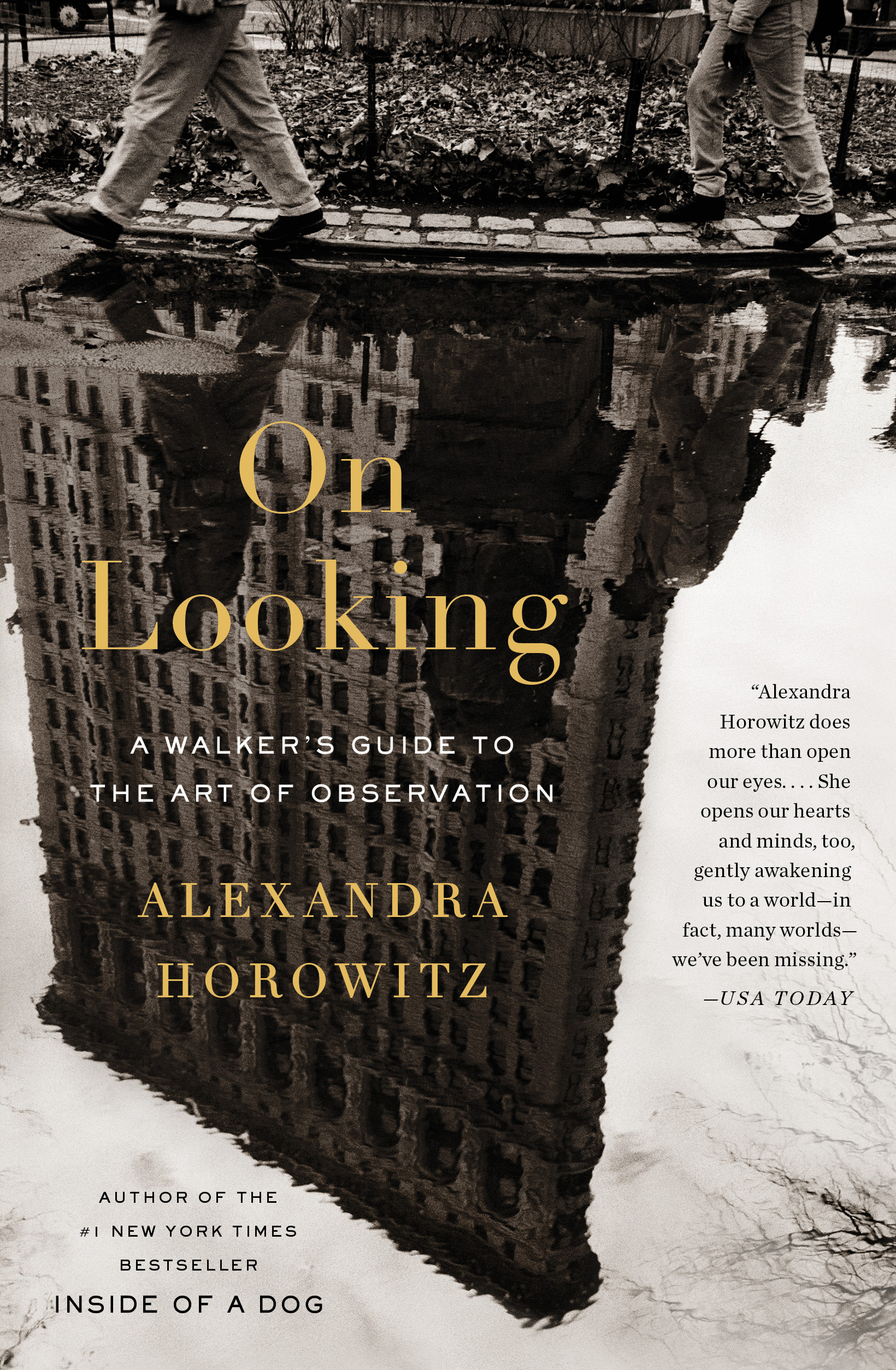On Looking: A Walker’s Guide to the Art of Observation