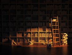 Bookshelves with a ladder