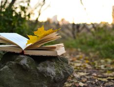 Open book in the fall